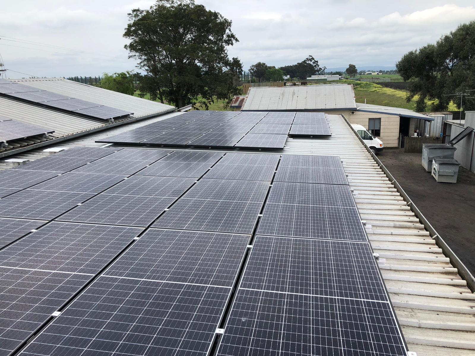 Photo 7-10-20, 5 01 01 pm